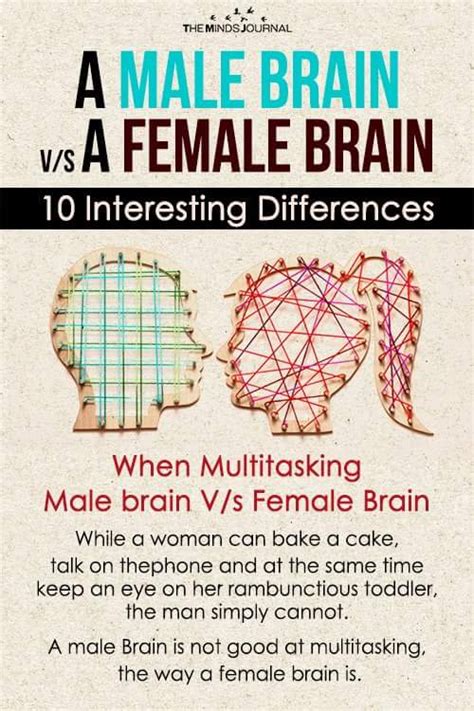A Male Brain Vs A Female Brain 13 Interesting Differences Brain