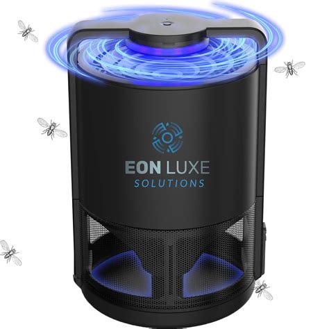 Babynology provides you extensive list of punjabi baby names, modern punjabi names and ancient ਪੰਜਾਬੀ ਦੇ ਨਾਮ ਦੇ. The 9 Best Small Kitchen Fly Trap - Home Gadgets