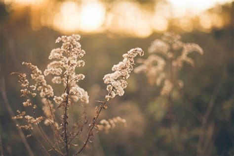 We've collected our pick of the best free stock photo sites to help you find the pictures you need. Home Page | Free Stock Photos