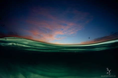 Breathtaking Underwater Photographs Of Matty Smith Freeyork