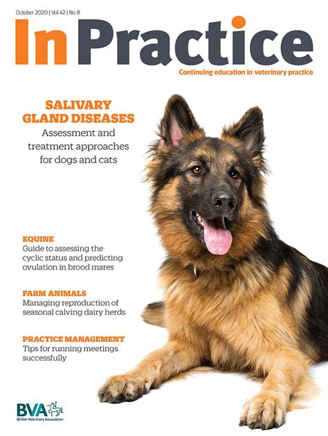 Salivary Gland Disease In Dogs And Cats Puerta 2020 In Practice