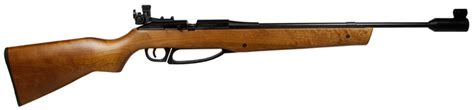 Gun Sport Daisy Avanti Air Rifle