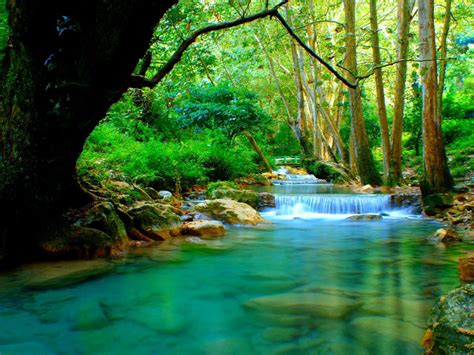 Forest river with cascades turquoise water rocks-trees Desktop