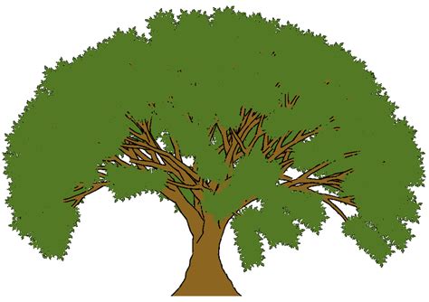 Cartoon Oak Tree Clipart Best