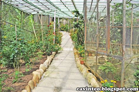 Jak platby, které přijímáme, ovlivňují pořadí zobrazených cen. Entree Kibbles: Butterfly Garden @ Cameron Highlands