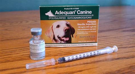 Intramuscular Injection Sites Dogs