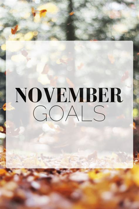My November Goals
