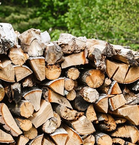 Firewood Bristol Mixed Seasoned Hardwood Logs