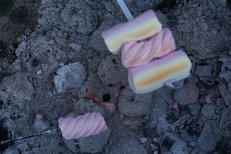 Science Of Roasting Marshmallows Over A Campfire Or Barbecue Food