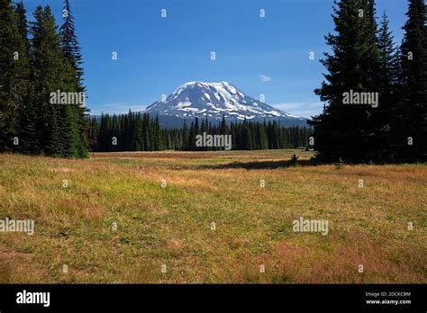 Wa18393 00washington View Of Mount Adams From Muddy Meadows In The