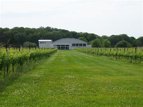 Saltwater Farm Vineyard Stonington Connecticut — In Search Of Great