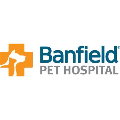 The houston oilers began in 1960 as a charter member of the american football league.they were owned by bud adams, a houston oilman, who had made several previous unsuccessful bids for an nfl expansion team in houston. Banfield Pet Hospital Review | Consumers Advocate