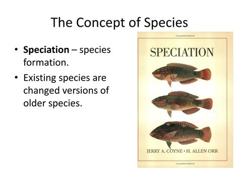 Ppt Formation Of Species Powerpoint Presentation Free Download Id