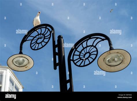A Seagull On Top Of An Ornamental Lamp Post In Lyme Regis Dorset Stock