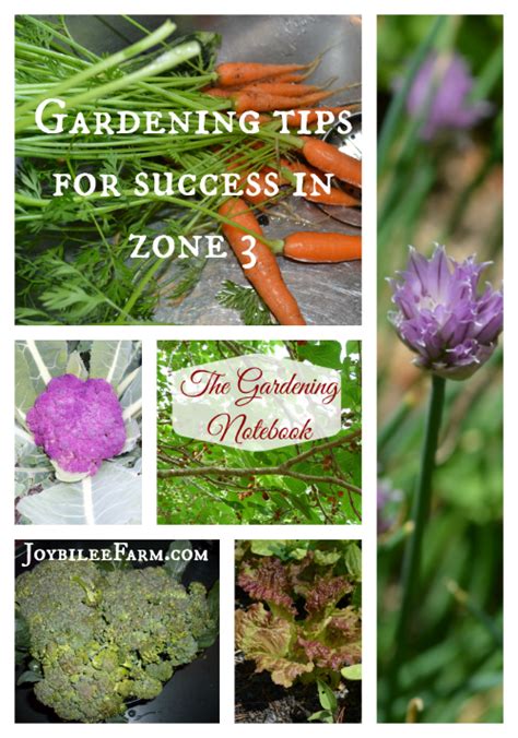 Gardening Tips For Success In Zone 3