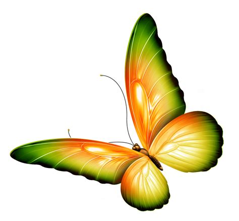 Yellow And Green Transparent Butterfly Clipart Gallery Yopriceville