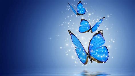 Computer Wallpapers Blue Butterfly Cute Wallpapers 2023