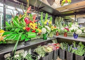 Phoenix flower shops is the leading provider of thoughtful gifts, helping our customers connect with the important people in their lives, so it's important that our customers stay connected to us established in 1960. 3 Best Florists in Glendale, AZ - Expert Recommendations