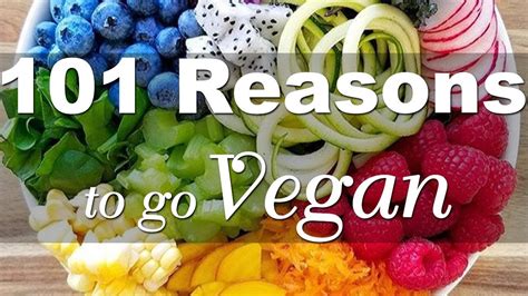 101 Reasons To Go Vegan Best Presentation Youtube