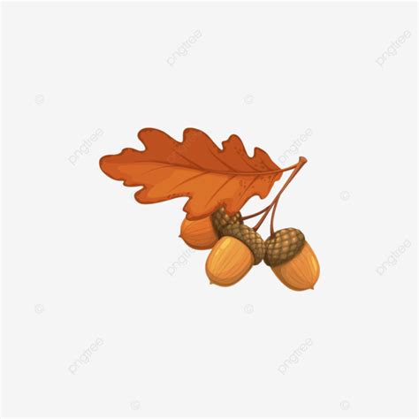 Autumn Oak Acorn With Dry Leaves Vector Icon Forest Label Leaf Png