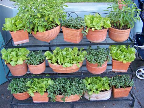 20 Patio Vegetable Garden Containers Ideas You Must Look Sharonsable