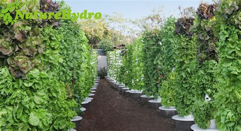 Hot Sale Vertical Tower Aeroponic System Hydroponic Grow Garden Buy Vertical Tower Aeroponic