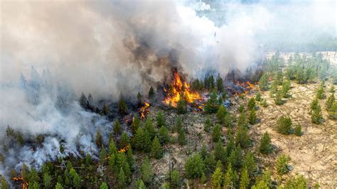 2020 Arctic Wildfires Emissions So Far Surpass All Of 2019 The Moscow