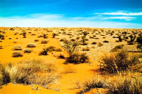 Kalahari Desert | kalahari desert Kalahari Desert | DESERT ...