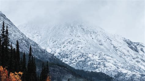 Download Wallpaper 1366x768 Mountain Peak Snow Forest Trees Clouds