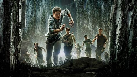 The Maze Runner How Big Is Too Big When It Comes To Government