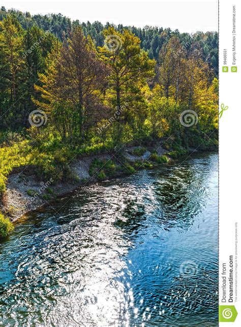 Gold River Suenga A Tributary Of The River Berd Siberia Ru Stock