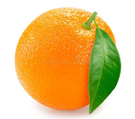 Fresh Orange Fruit With Leaf On White Background Stock Image Image Of