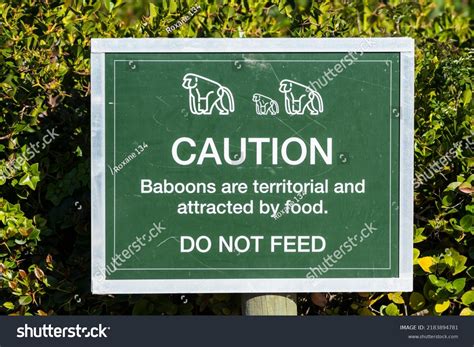 Caution Sign Signage Do Not Feed Stock Photo 2183894781 Shutterstock
