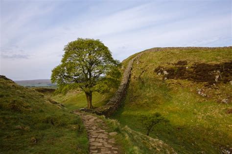 Best Of The Hadrians Wall Walk In 1 Day Anywhere We Roam