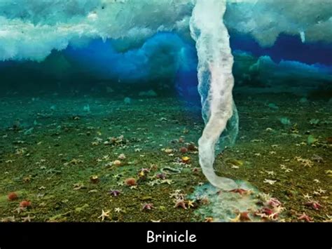 Fun Facts For Kids About Brinicle