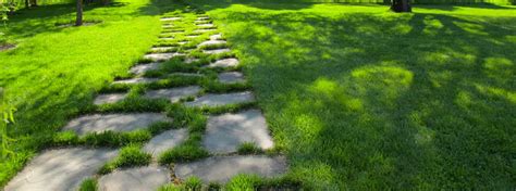 Organic And Natural Lawn Care Solutions Growing A Greener World
