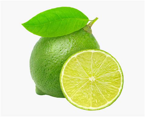 Clip Art Sliced Lime - Lime Png , Free Transparent Clipart - ClipartKey