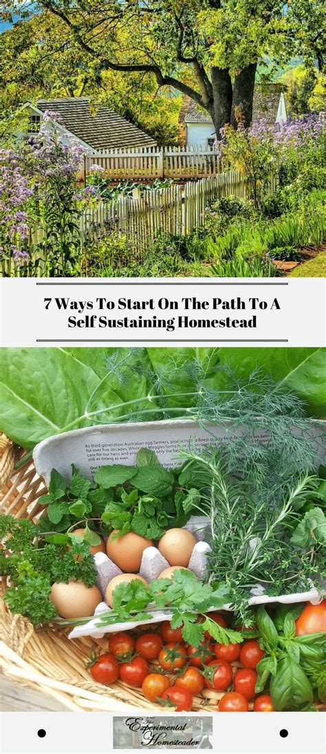 7 Ways To Start On The Path To A Self Sustaining Homestead Homesteading