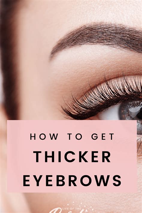 How To Get Thicker Eyebrows Life Of The Pardee