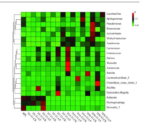 Heatmap Of Prominent Bacterial Genera Most Abundant Genera For B Download Scientific