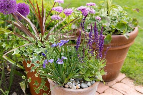 Container Gardening Recipes The Honeycomb Home Container Gardening