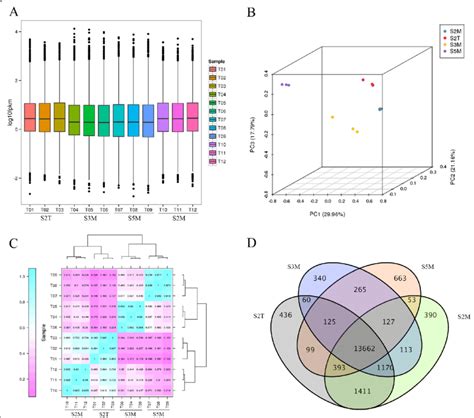 The Analysis Of The Expressed Genes A Boxplot Of The Gene Expression Download Scientific