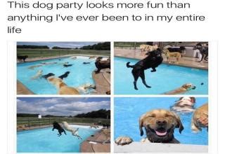 The only meme app that pays its users. 31 Fresh Memes To Kick Start Your Day - Funny Gallery ...