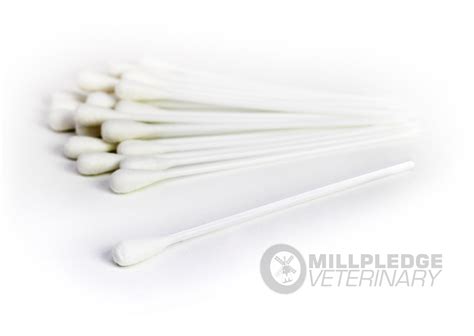 Millpledge Large Cotton Buds The Vet Store