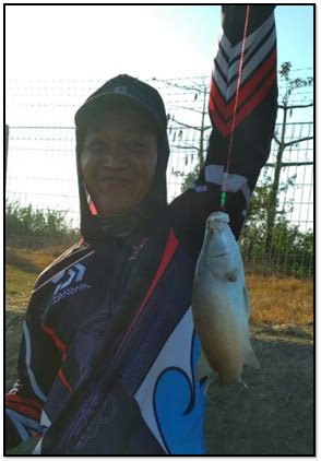 Cara memancing kakap putih di siang hari. Cara Mancing Kakap Putih Di Siang Hari / Tips Ampuh ...