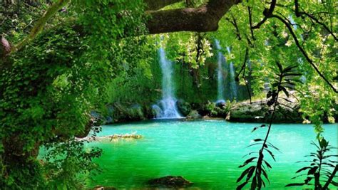 Beautiful Costa Rica Falls River Jungle Lush Green Vegetation Fern