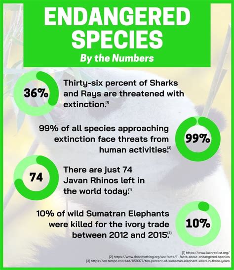 17 Critically Endangered Species In 2022 Fauna Facts