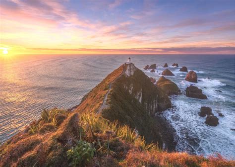 7 Amazing Things To Do In The Catlins New Zealand Guide