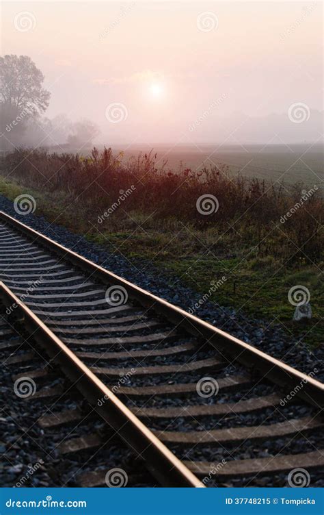Railroad Track During Autumn Foggy Morning Stock Image Image Of