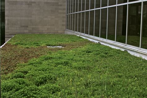Green Roof - A Thing of the Future ... and the Present | College of ...